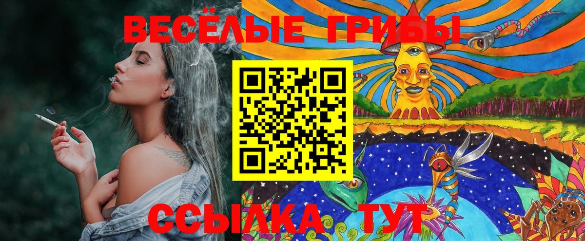 Крымск  Галлюциногенные грибы прущие грибы  Вход с VPN 